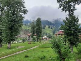 cênico Visão do a natural beleza do tao bunda, Neelum vale, caxemira. tao bunda é famoso para Está exuberante verde árvores e natural beleza. foto