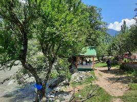 lindo dia Tempo Visão do Keran vale, neelam vale, caxemira. verde vales, Alto montanhas e árvores estão visível. foto