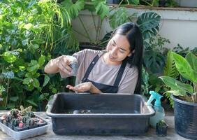 fofa ásia mulher jardineiro é preparando solo para transplante plantar para dentro uma Novo Panela dentro interior às casa enquanto passatempo atividade, conceito do casa jardim foto
