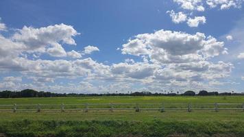 campo de trigo e céu azul foto
