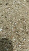 fotografia, textura do areia, de praia. pegadas dentro a areia, uma beira-mar recorrer, a ilha. você pode usar foto