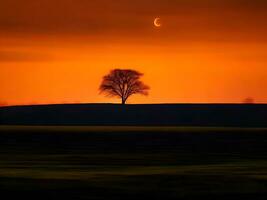 uma solitário árvore carrinhos dentro a meio do uma campo às pôr do sol foto