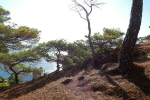 costa brava e caminho costeiro ao longo da costa acidentada do norte da catalunha, espanha foto