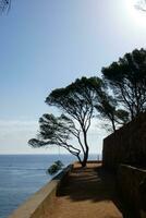 costa brava e caminho costeiro ao longo da costa acidentada do norte da catalunha, espanha foto