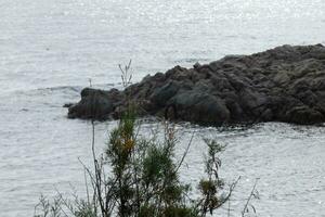 costa brava e caminho costeiro ao longo da costa acidentada do norte da catalunha, espanha foto