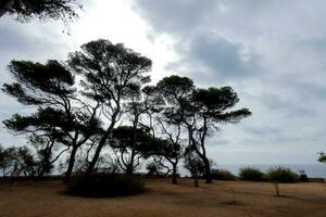 costa brava e caminho costeiro ao longo da costa acidentada do norte da catalunha, espanha foto