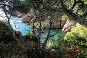 costa brava e caminho costeiro ao longo da costa acidentada do norte da catalunha, espanha foto