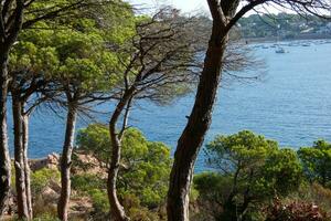 costa brava e caminho costeiro ao longo da costa acidentada do norte da catalunha, espanha foto