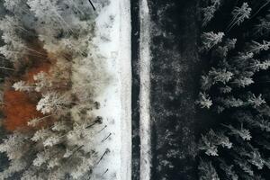 aéreo Visão do uma rodovia enrolamento através uma floresta dentro ambos verão e inverno temporadas. generativo ai foto