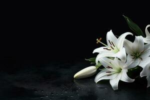lindo branco lírio flores em Preto fundo com cópia de espaço.funeral conceito ai gerado foto