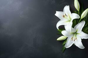 lindo branco lírio flores em Preto fundo com cópia de espaço.funeral conceito ai gerado foto