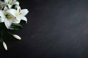 lindo branco lírio flores em Preto fundo com cópia de espaço.funeral conceito ai gerado foto