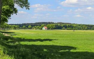 vista de um campo usado para agricultura com grama verde. foto