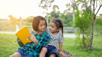 fofa pequeno menina lendo livro em árvore dentro park.sstkhome foto