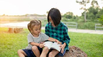 fofa pequeno menina lendo livro em árvore dentro park.sstkhome foto