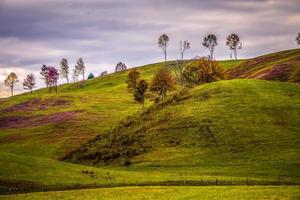 paisagem pitoresca de outono no oeste da Virgínia foto