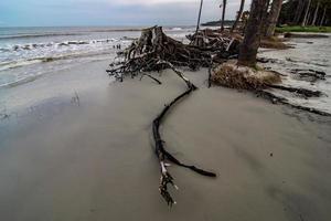 cenas de praia na ilha de caça da carolina do sul foto