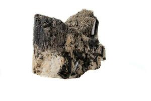 macro mineral pedra estudioso, Preto turmalina em a feldspato em uma branco fundo foto