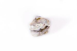 jaspe de pedra mineral macro oceânico em um fundo branco foto