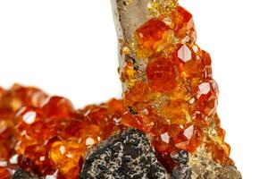 macro mineral pedra espessartina, laranja, vermelho granada com quartzo em branco fundo foto