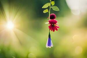 uma flor suspensão a partir de uma videira dentro a Sol. gerado por IA foto