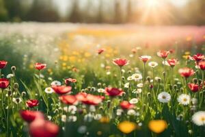 uma campo do vermelho e branco flores dentro a Sol. gerado por IA foto