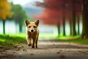 uma pequeno cachorro caminhando em uma caminho dentro a madeiras. gerado por IA foto
