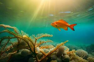 uma peixe natação dentro a oceano com coral e Sol. gerado por IA foto