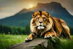 uma leão é sentado em uma Rocha dentro a meio do uma campo. gerado por IA foto