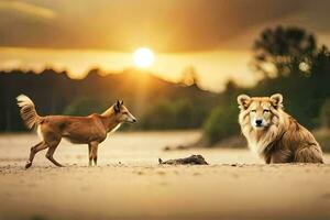 dois cachorros estão em pé dentro a areia às pôr do sol. gerado por IA foto