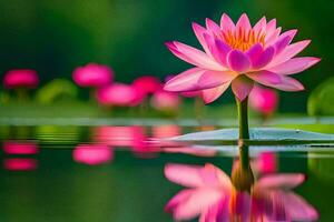 Rosa lótus flor dentro água com reflexão. gerado por IA foto