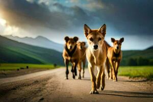 uma grupo do cachorros caminhando baixa uma estrada. gerado por IA foto