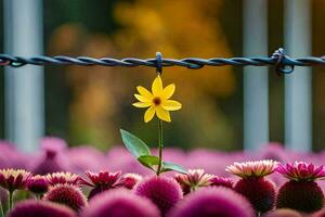 uma amarelo flor é em pé dentro frente do uma farpado fio cerca. gerado por IA foto