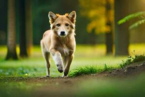 uma cachorro corrida através a madeiras. gerado por IA foto