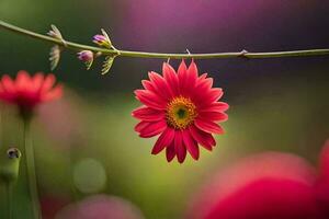 uma vermelho flor é em uma ramo dentro frente do uma borrado fundo. gerado por IA foto