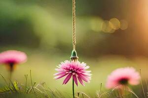 uma Rosa flor suspensão a partir de uma corda dentro a grama. gerado por IA foto