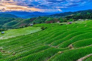 arrozais terraços em pa bong piang village chiang mai, tailândia. foto