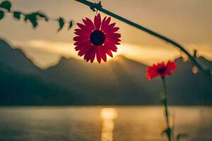 vermelho flor dentro a pôr do sol, montanhas, lago, água, natureza, hd papel de parede. gerado por IA foto