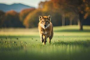 uma Lobo corrida através uma campo do verde grama. gerado por IA foto