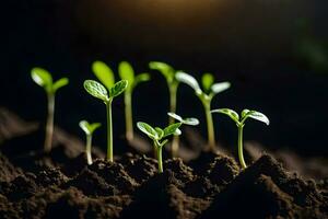 jovem plantas brotando a partir de a solo. gerado por IA foto