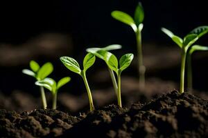 jovem plantas brotando a partir de a solo. gerado por IA foto