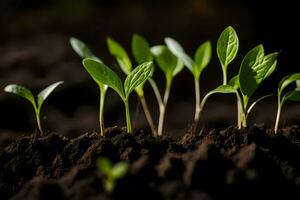 jovem plantas brotando a partir de a solo. gerado por IA foto