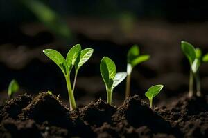 uma grupo do jovem plantas crescendo dentro a sujeira. gerado por IA foto