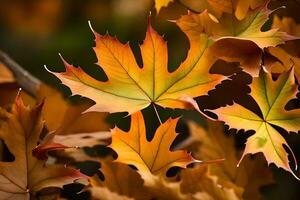 outono folhas, outono, outono folhas, outono folhas, outono folhas, outono folhas, outono. gerado por IA foto