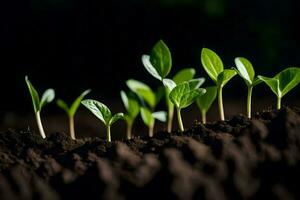 uma grupo do jovem plantas crescendo dentro a sujeira. gerado por IA foto