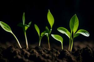 jovem plantas brotando a partir de a solo. gerado por IA foto