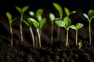 uma grupo do jovem plantas crescendo dentro a solo. gerado por IA foto