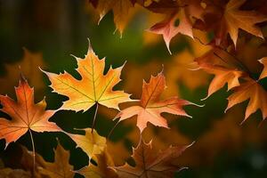 outono folhas, outono, folhas, folhas, outono, folhas, outono, folhas, outono. gerado por IA foto