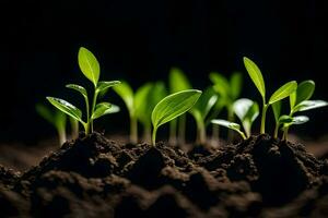 jovem plantas brotando a partir de a solo. gerado por IA foto