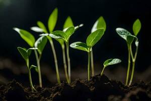 jovem plantas brotando a partir de a solo. gerado por IA foto